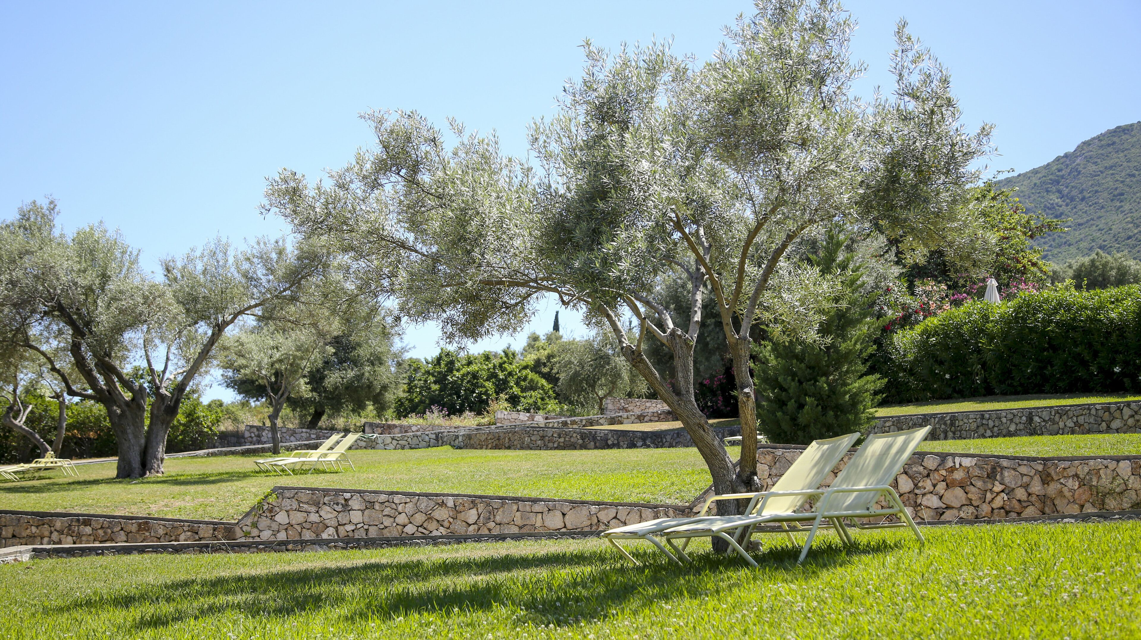 Un jardín con muros de piedra, olivos y una silla de descanso.