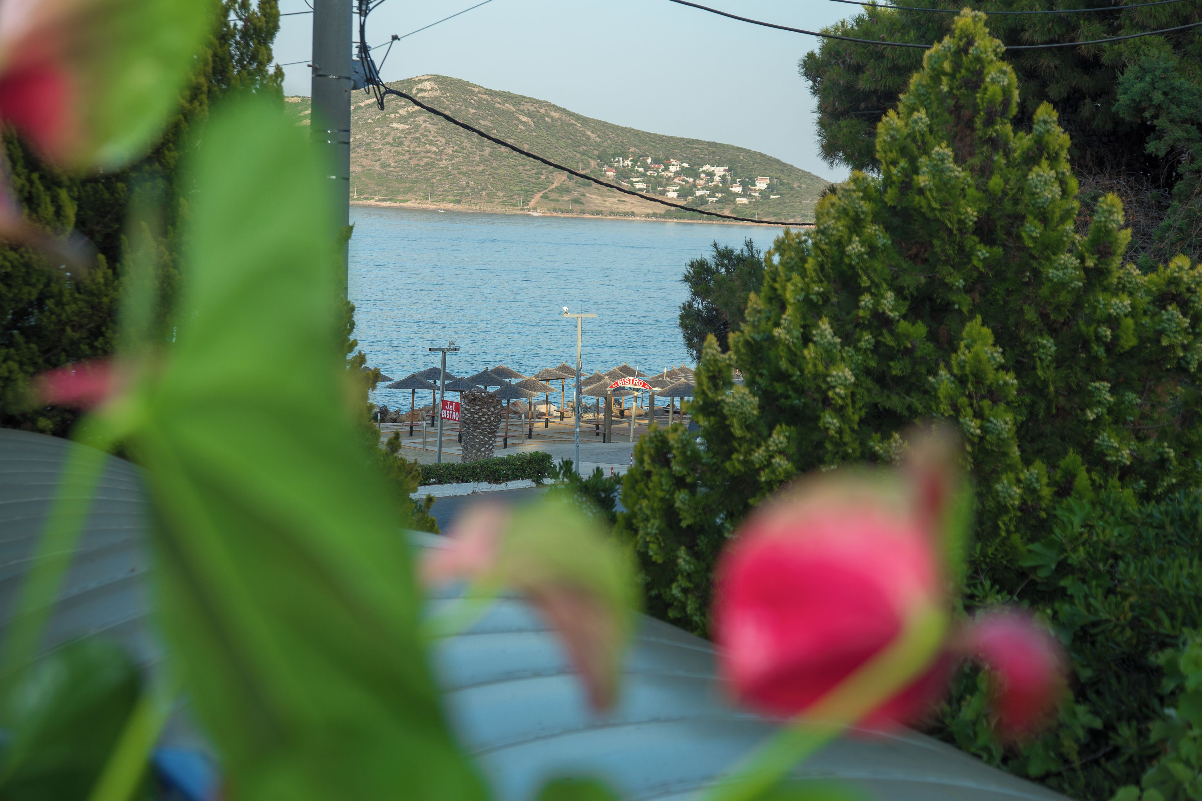A coastal view with a clear sky, a body of water, and a distant town.