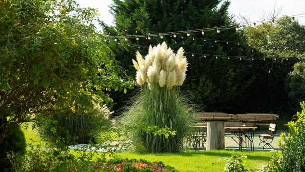 A garden with a picnic area, including benches and tables. - Impiq Hotel (Trnava)