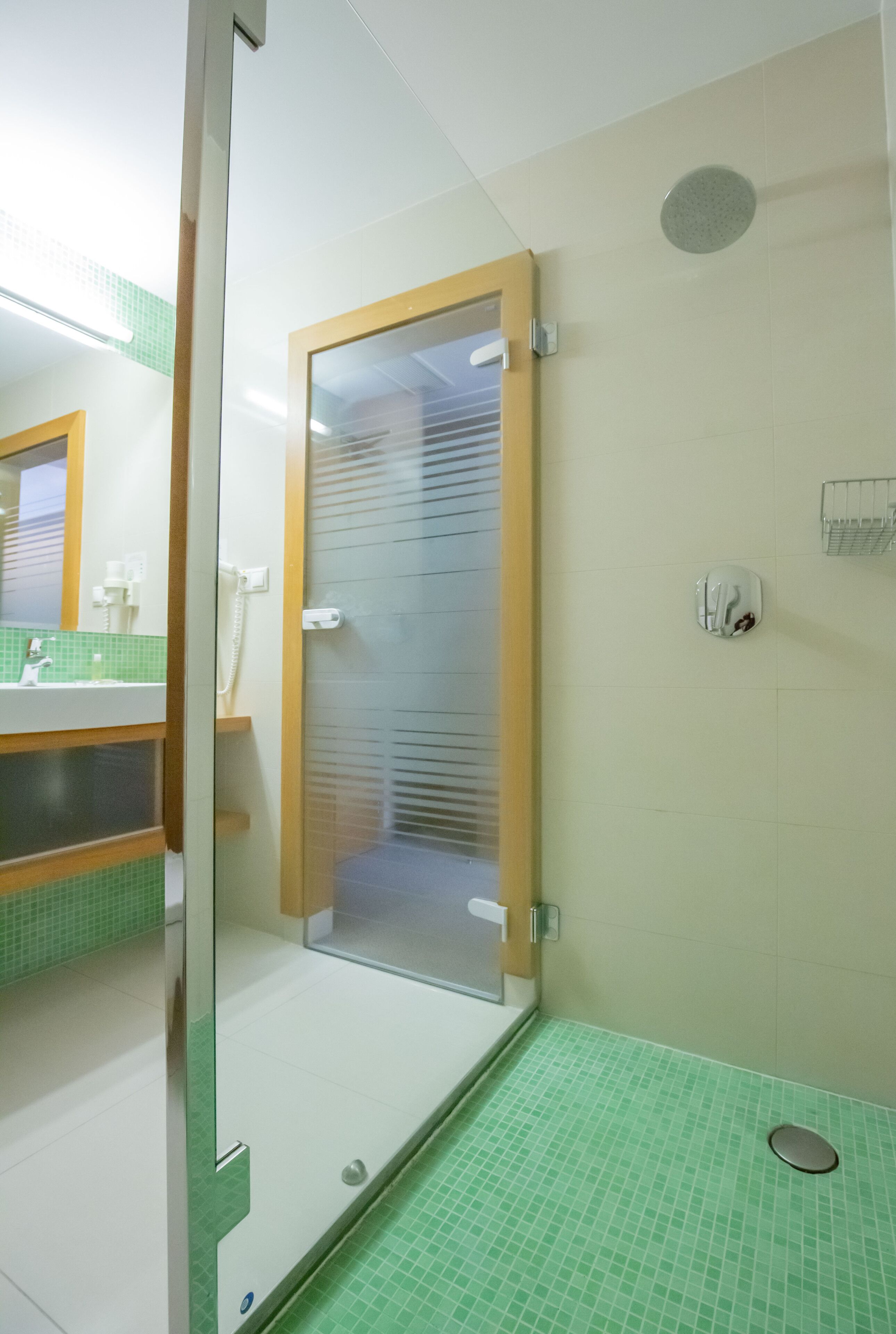 business single room | bathroom | hair dryer, towels