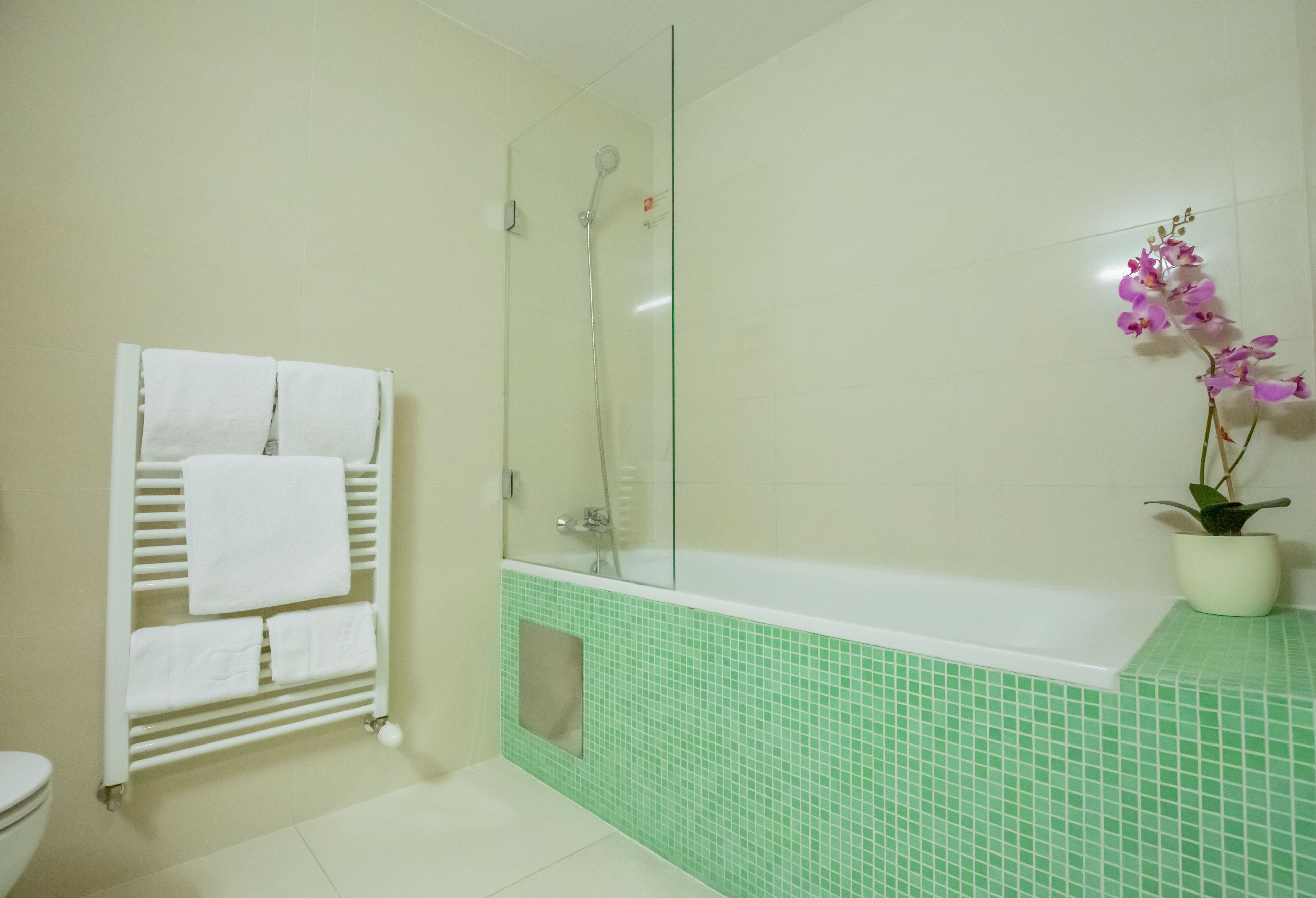 business double room | bathroom | hair dryer, towels