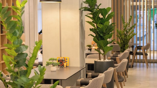 A modern interior with a long table, chairs, and potted plants. - Hotel Vojvodina (Zrenjanin)
