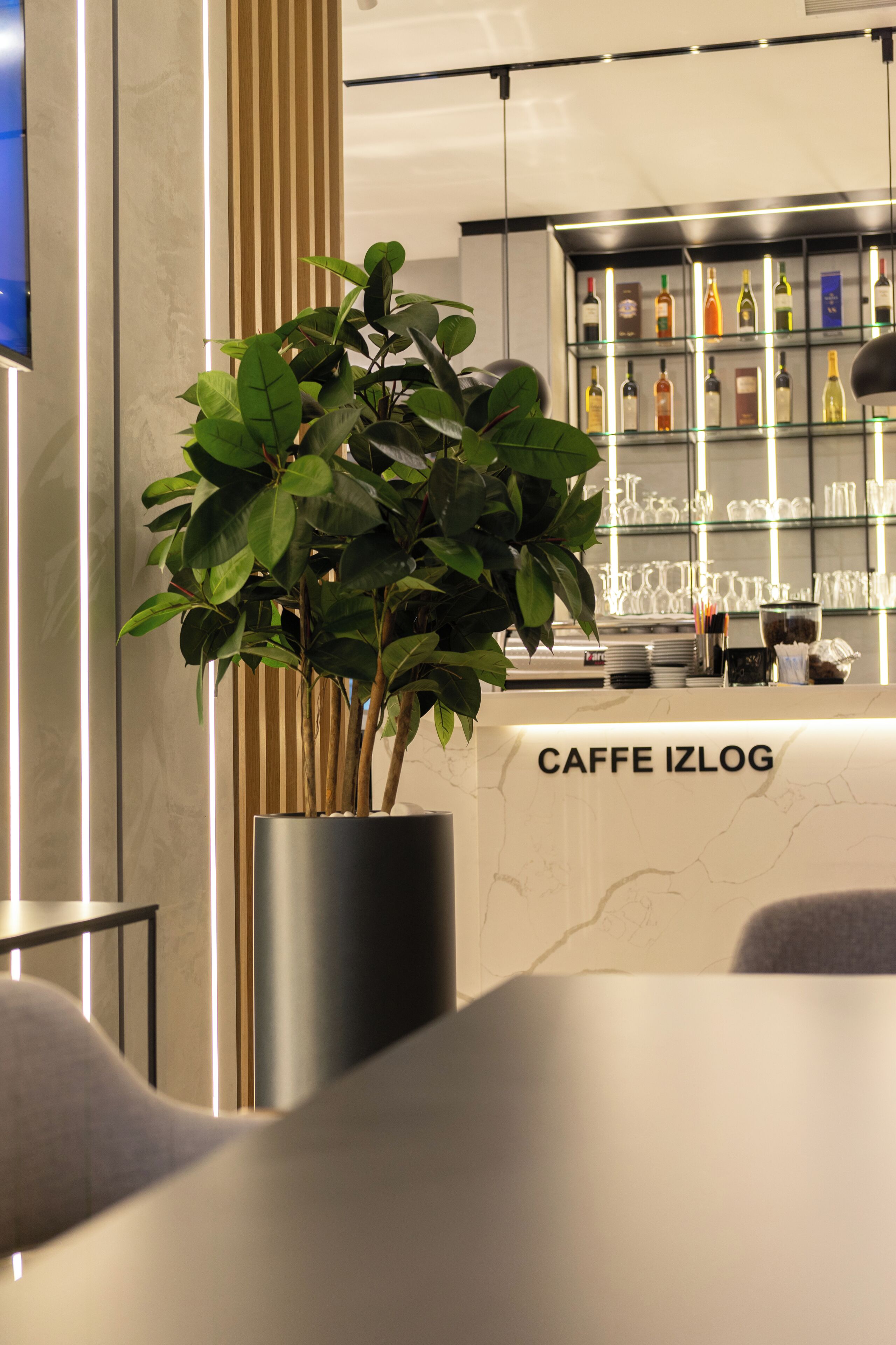 A modern bar area with a potted plant, a marble counter, and a display of various liquor bottles.