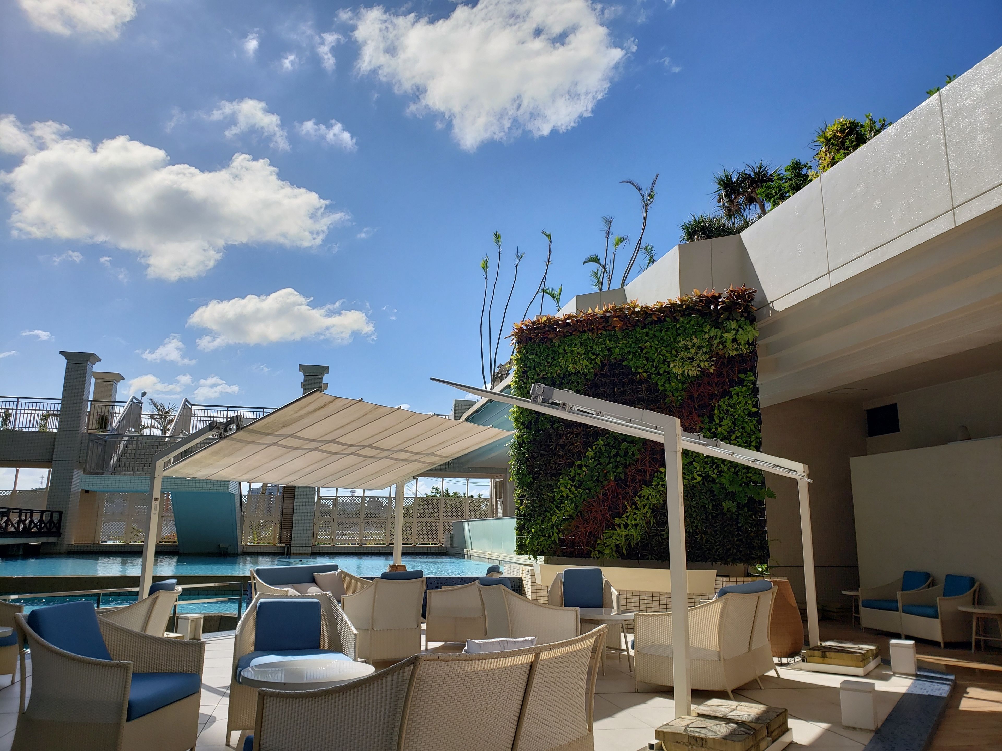 A rooftop pool area with lounge chairs, a pergola, and a vertical garden wall.