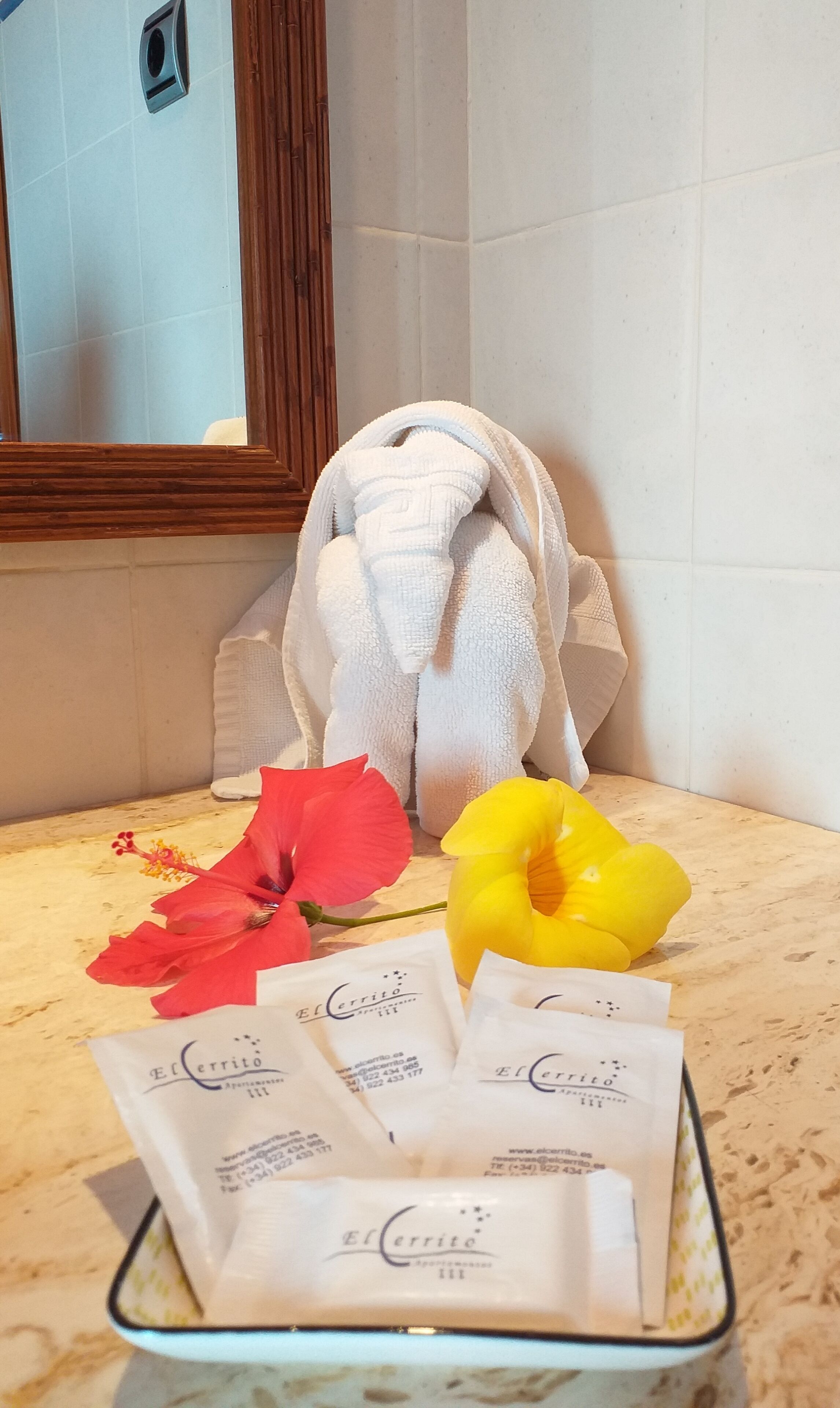 standard apartment, 1 bedroom | capsule