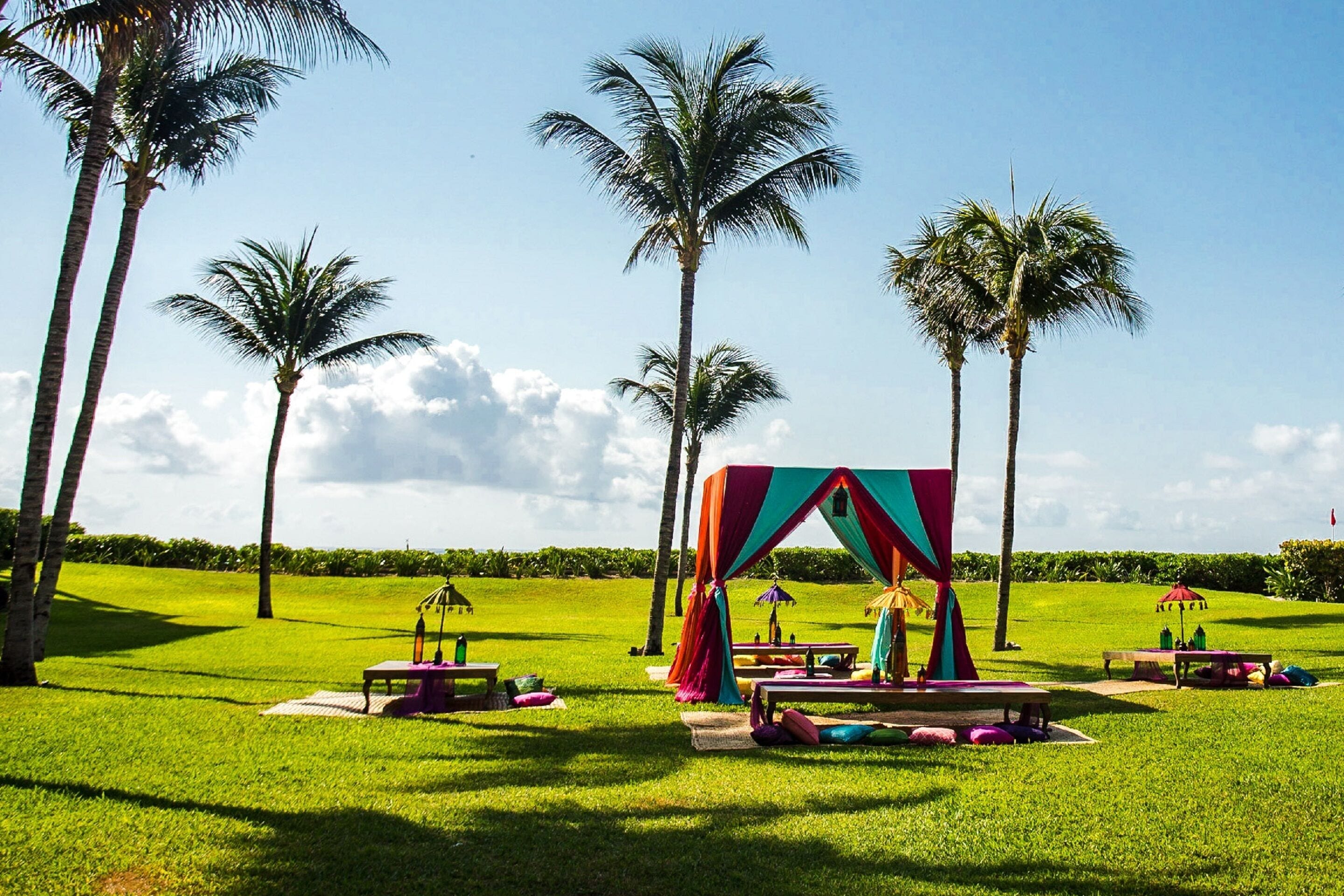 Entorno tropical al aire libre con palmeras, mesas de picnic y una estructura de toldo colorida.