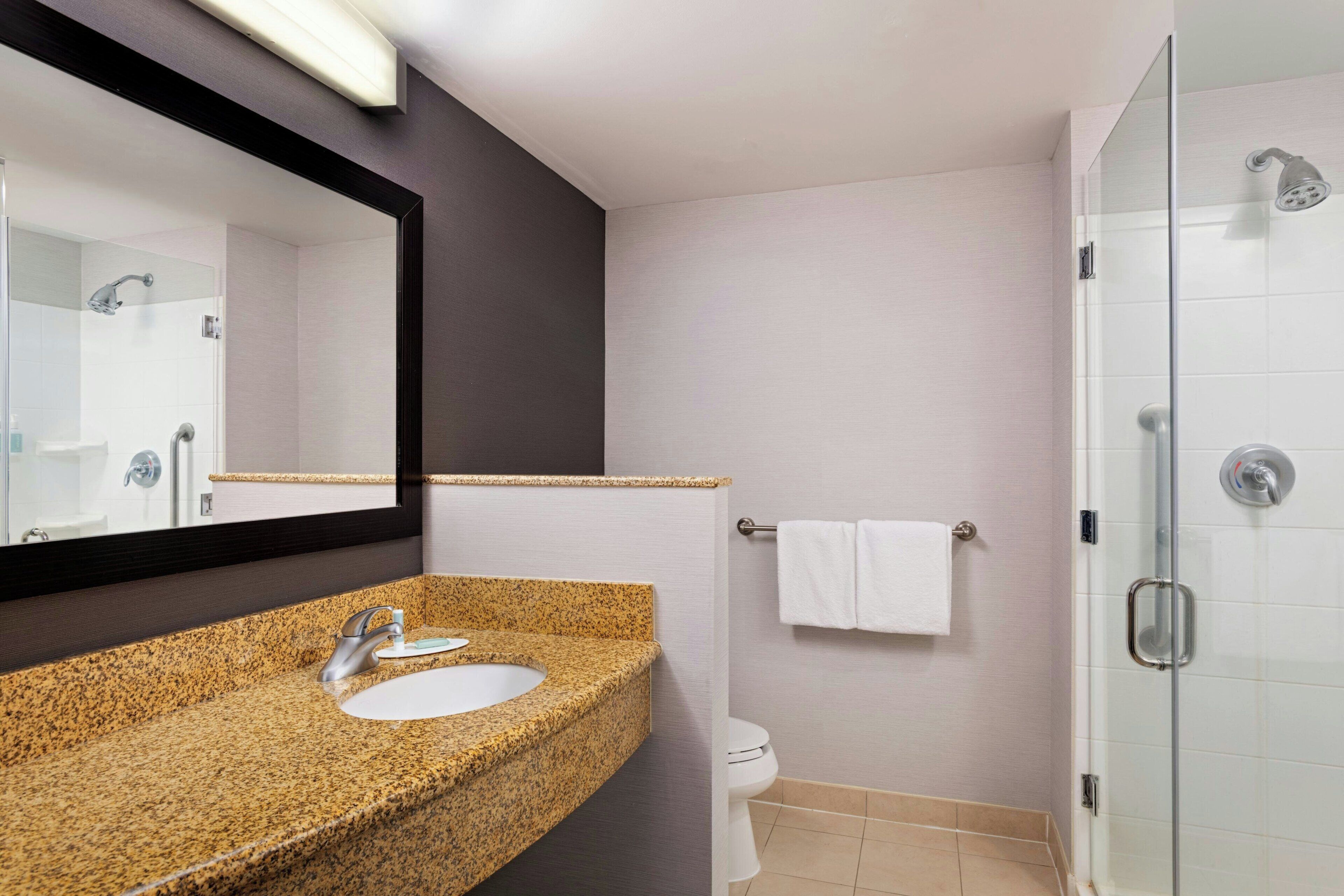 A bathroom with a granite countertop sink, a mirror, a toilet, and a glass shower enclosure.