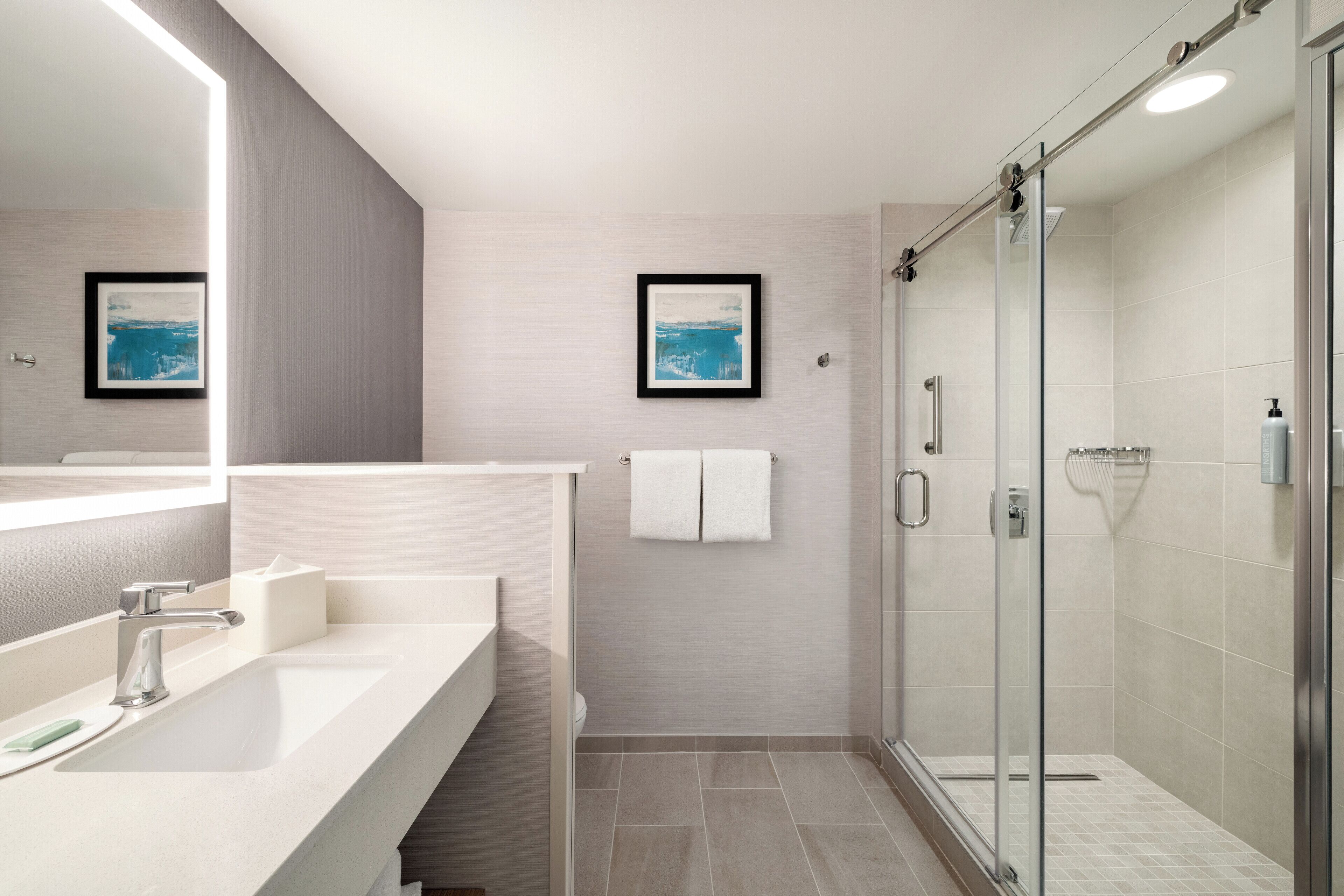 combined shower/bathtub, free toiletries, hair dryer, towels