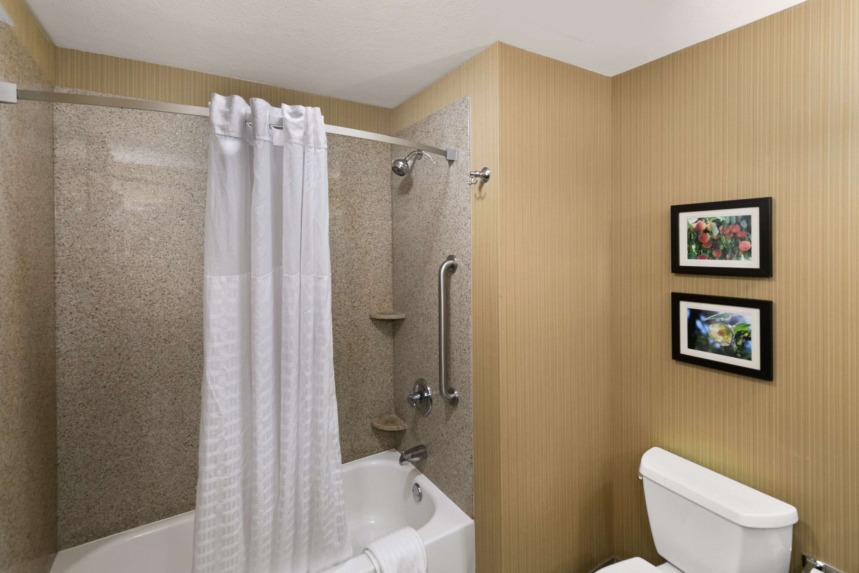 combined shower/bathtub, hair dryer, towels, soap