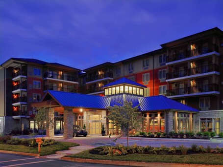 Hilton Garden Inn Gatlinburg - Image 16