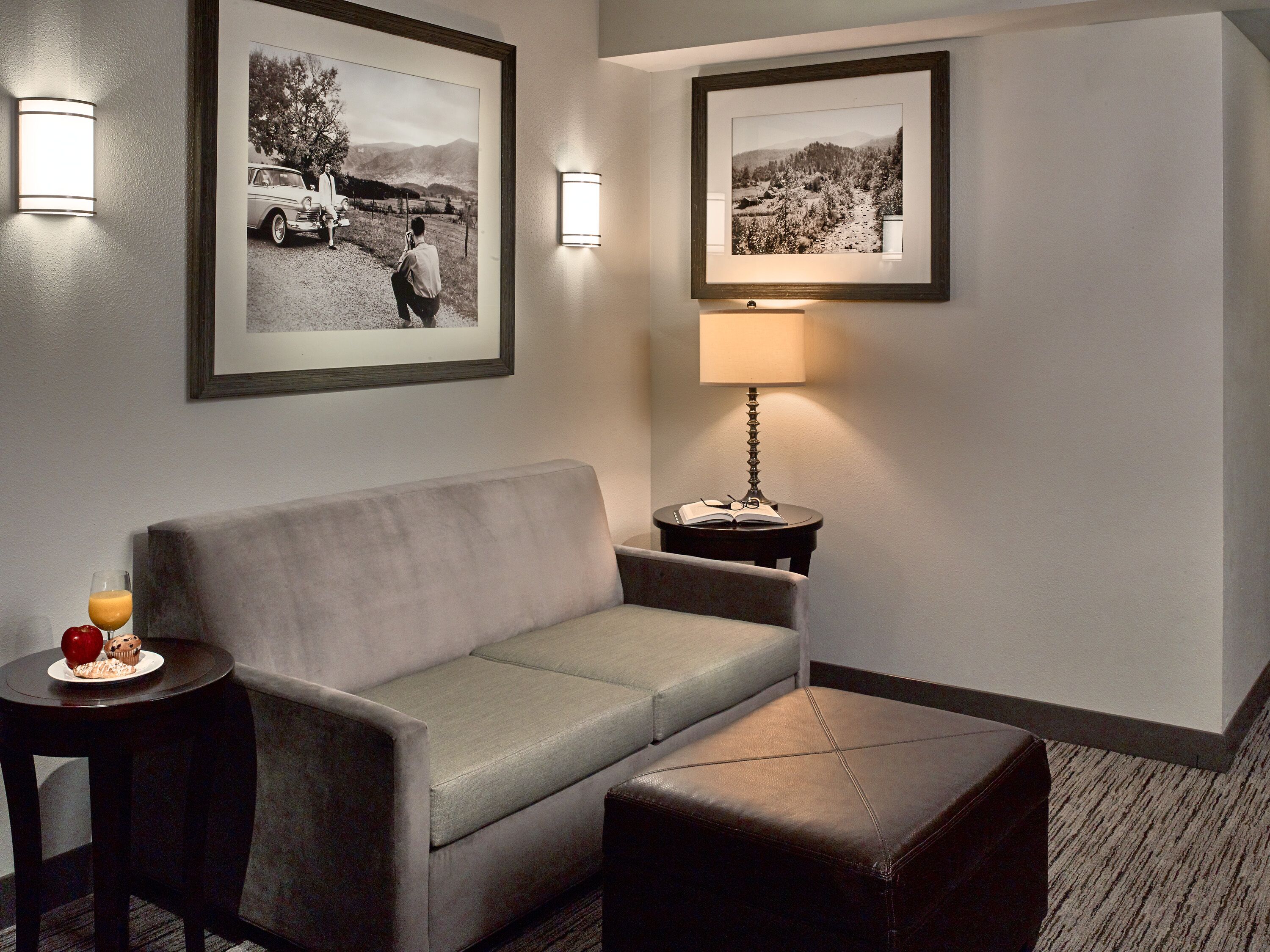 49-inch lcd tv with satellite channels, tv