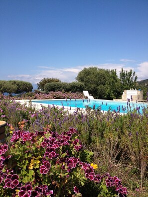 A pool area with a clear blue sky, surrounded by lush greenery and purple flowers. - Hôtel Céline (Coti-Chiavari)