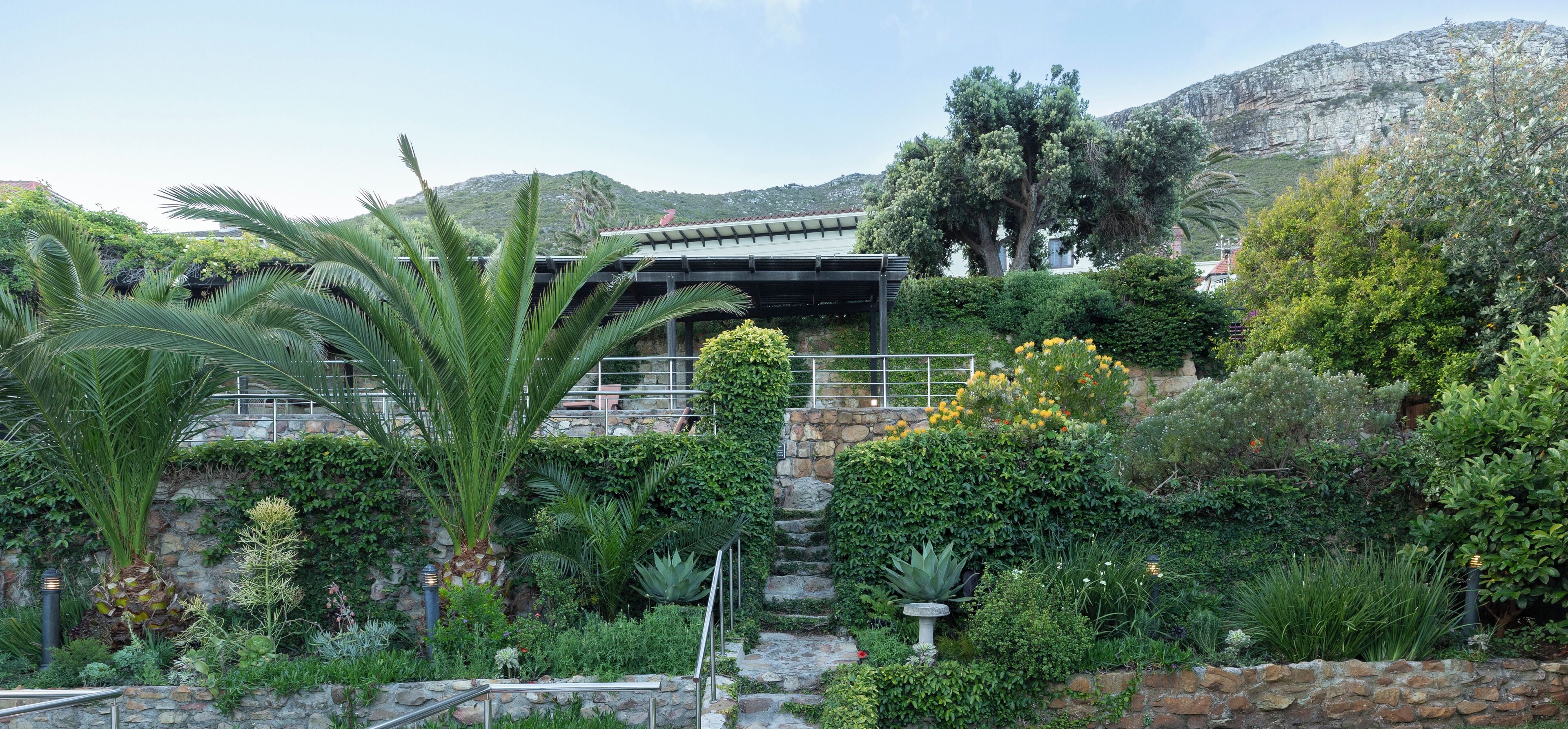 A garden with a variety of plants and a stone wall.