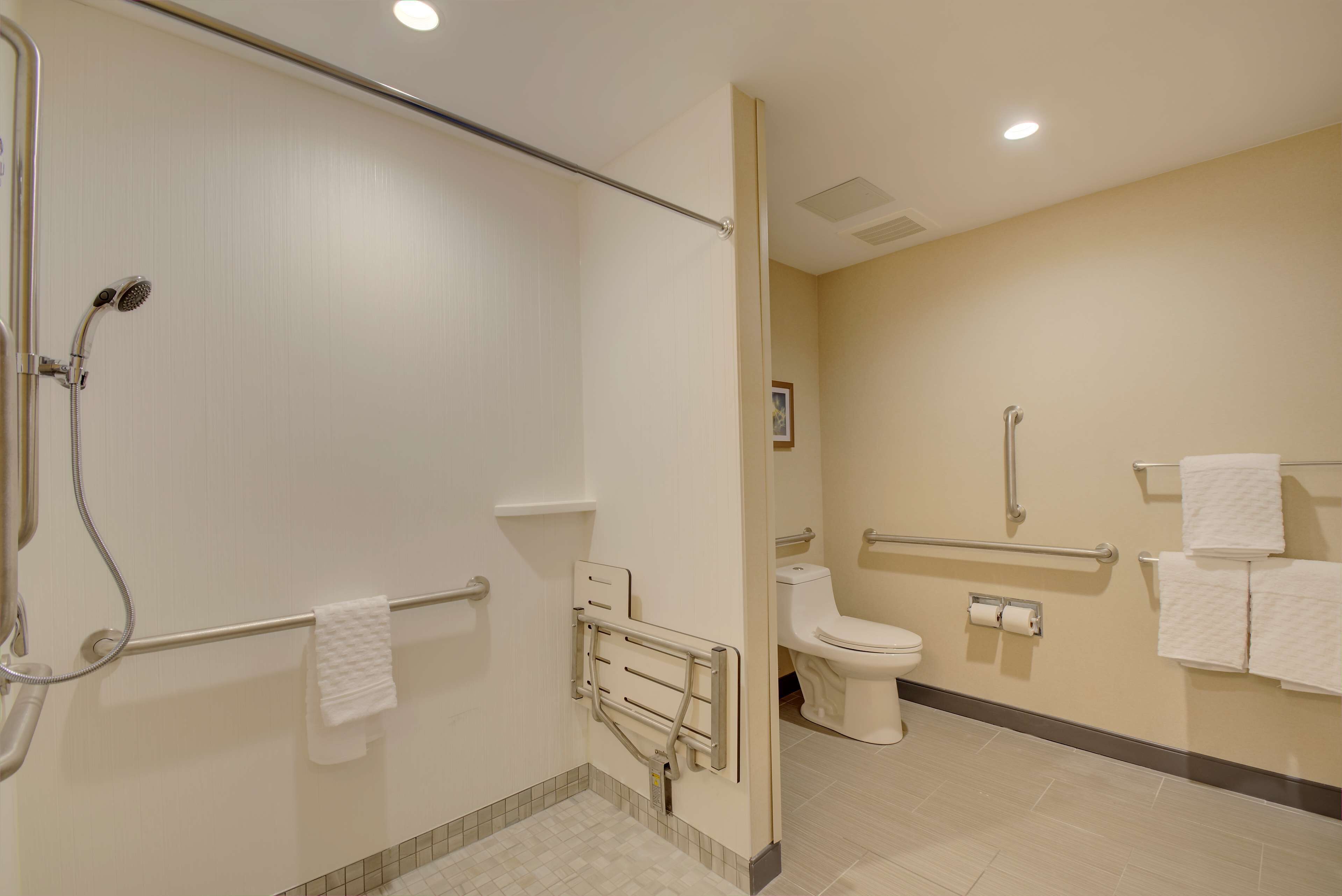 Un bagno moderno con doccia, servizi igienici e maniglie di sostegno.