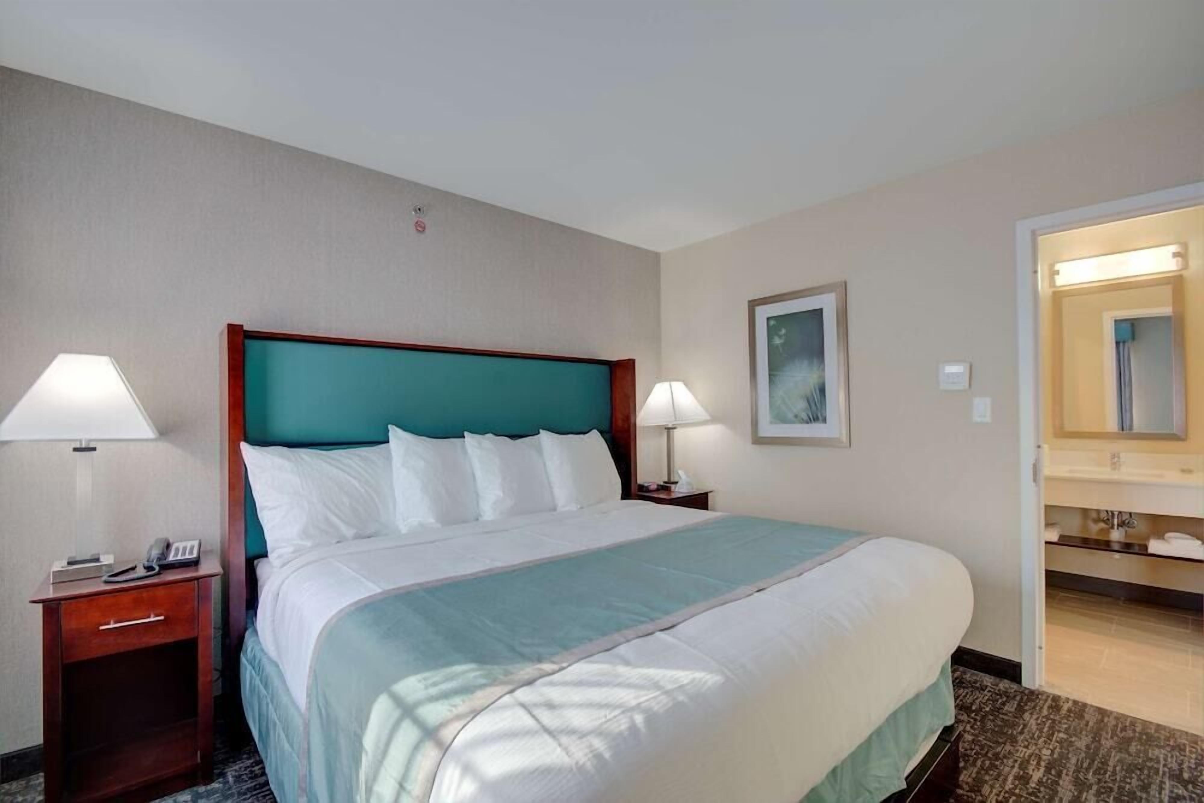 Premium bedding, individually decorated, individually furnished, desk