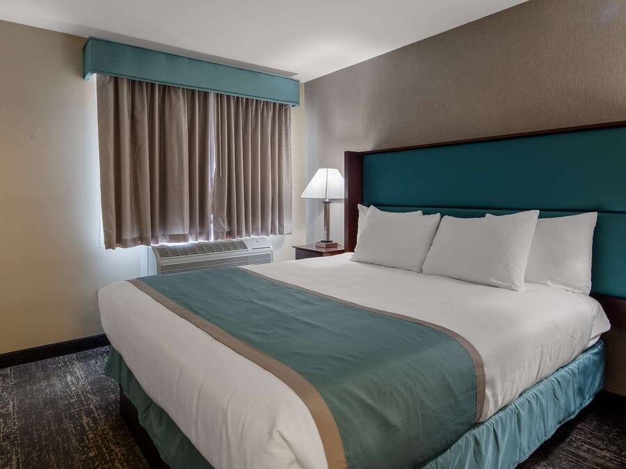 Ropa de cama de alta calidad, escritorio y cortinas blackout