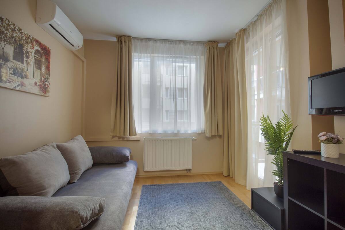 Uma sala de estar com sofá, televisão, radiador, janela com cortinas e uma planta.