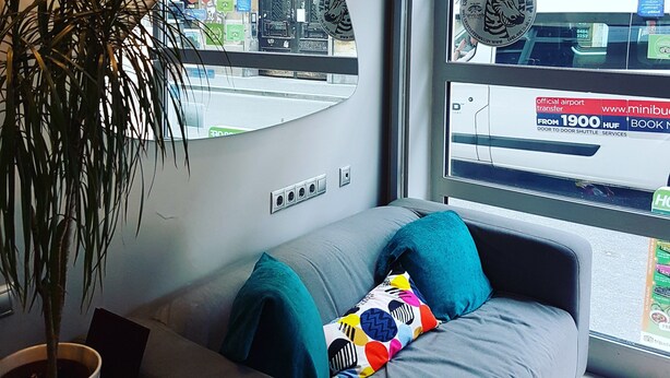 A modern room with a grey sofa, a large window, and a potted plant. - Nova Apartments (Budapest)