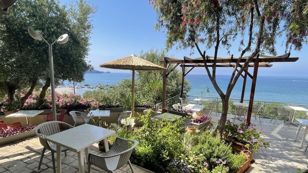 An outdoor patio with tables and chairs, surrounded by potted plants and a pergola. - Horizon Beach Hotel (Agios Vasileios)