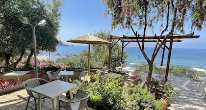 Horizon Beach Hotel