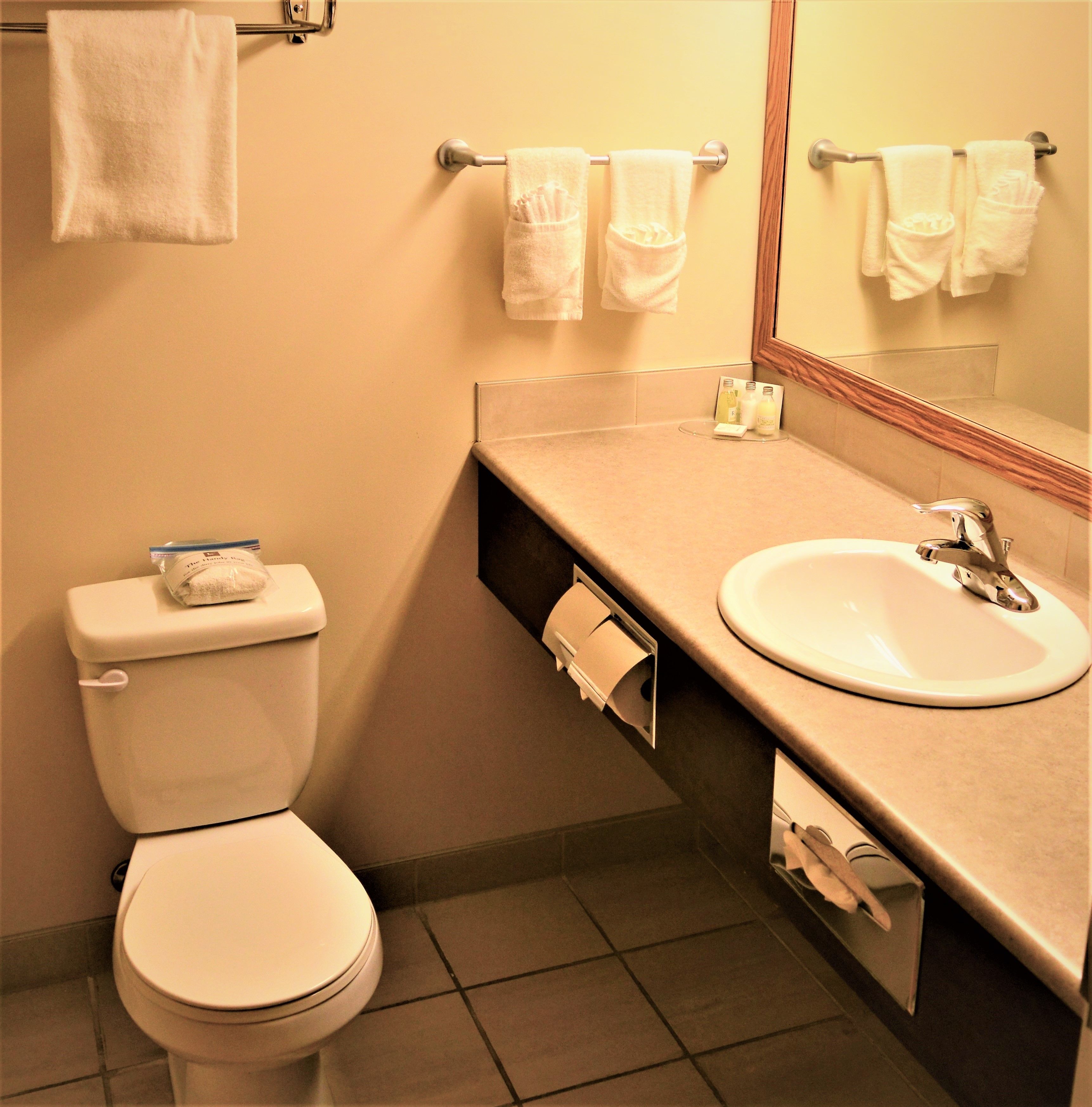 combined shower/bathtub, free toiletries, hair dryer, towels