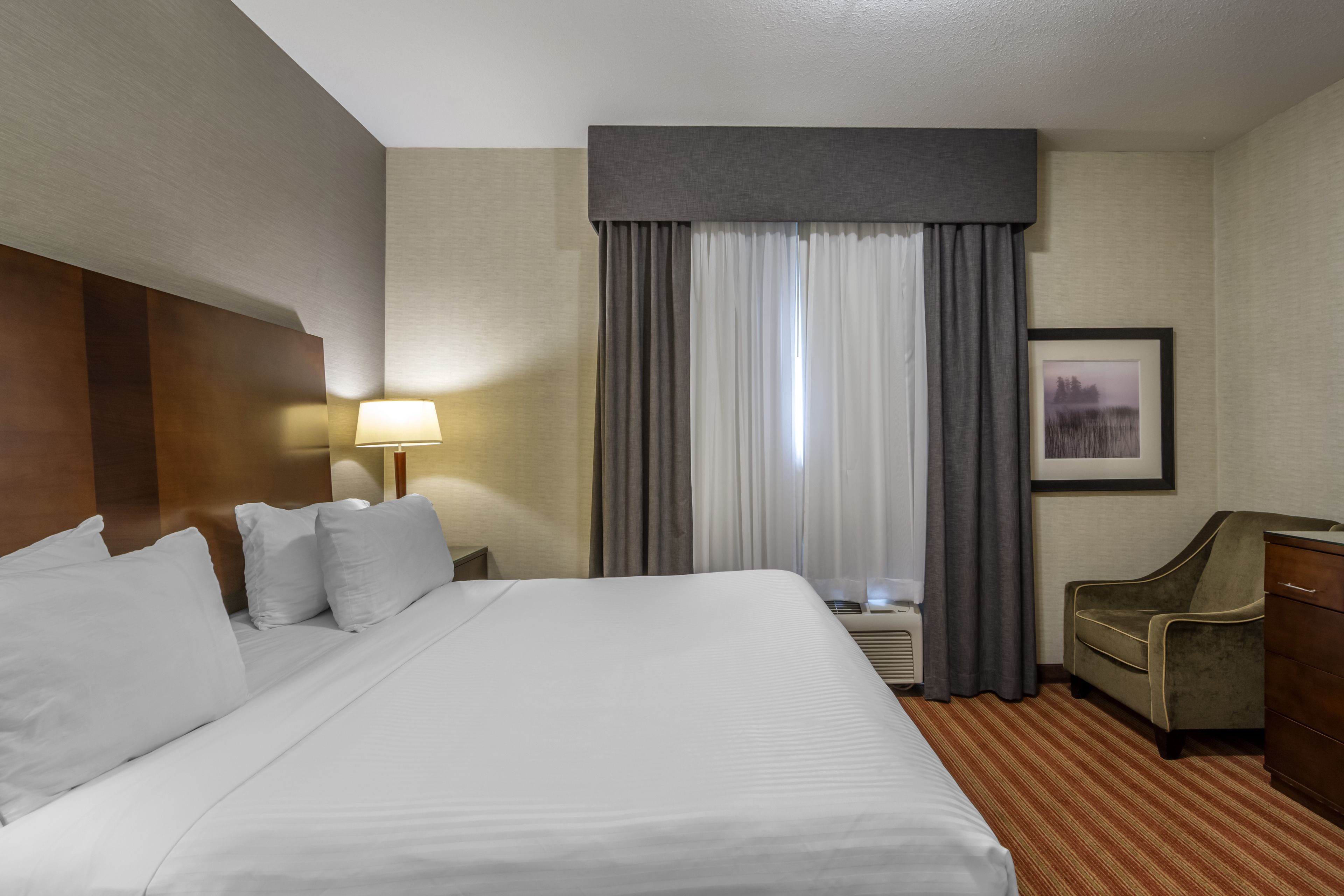 premium bedding, desk, iron/ironing board, free wifi