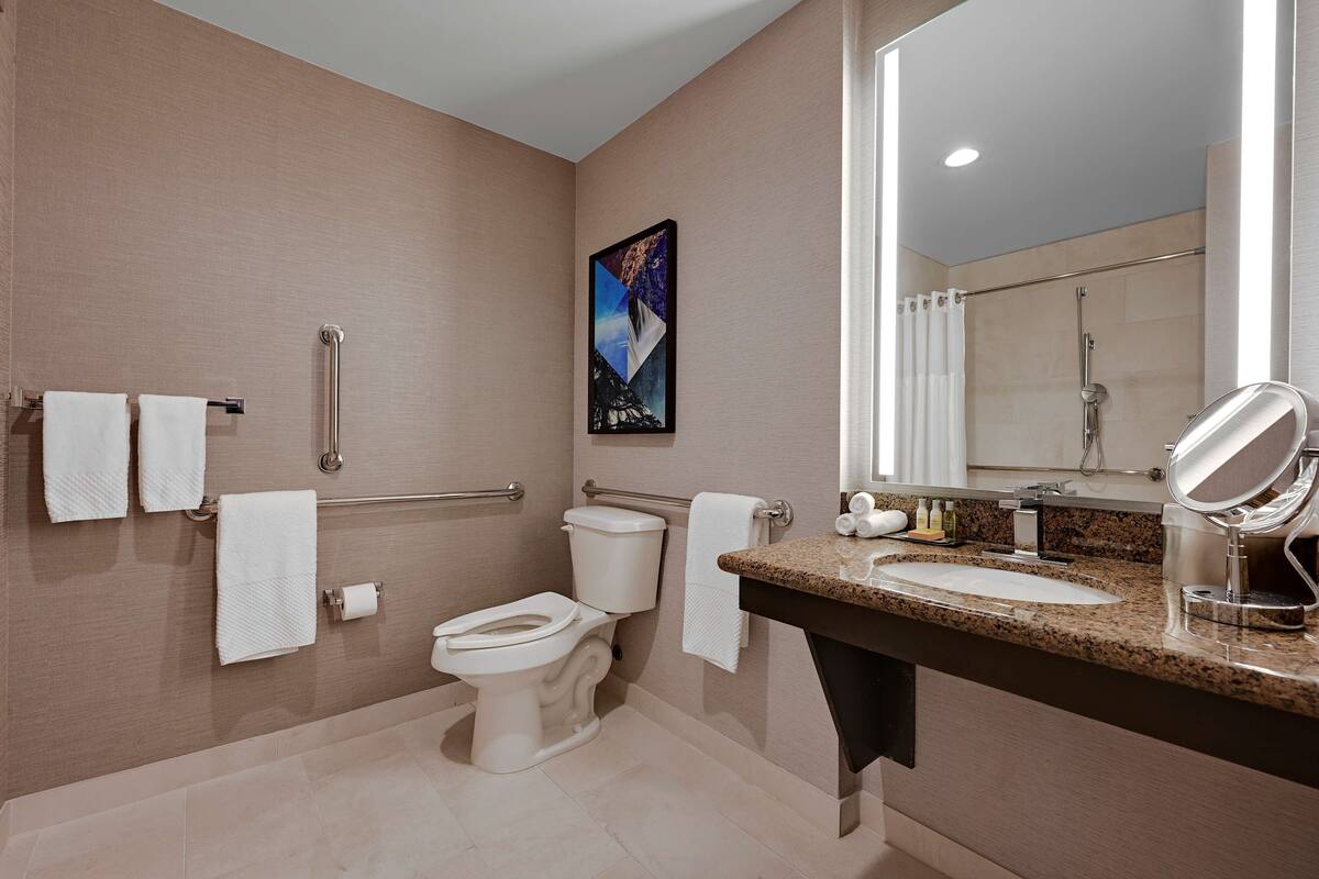 A modern bathroom with a toilet, grab bars, a sink with a mirror, and a shower area.