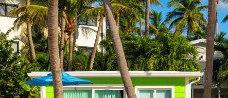 A small, brightly colored building with a green and white exterior, two pink chairs outside, and palm trees in the background.