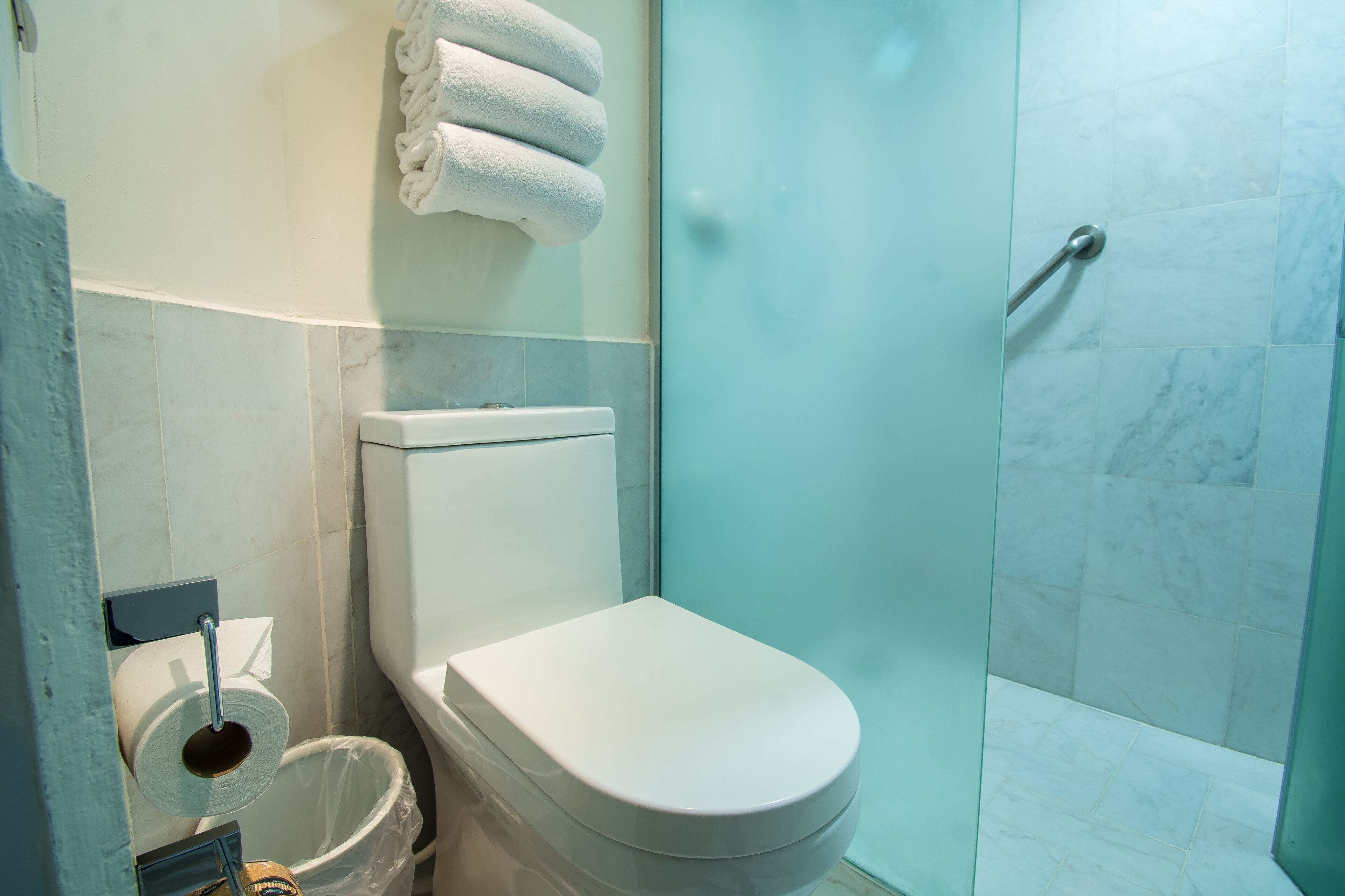 shower, free toiletries, hair dryer, towels