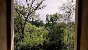 Vista a través de una ventana enmarcada en piedra, con un paisaje verde exuberante, árboles y una colina al fondo.
