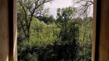 Vista des de l'allotjament