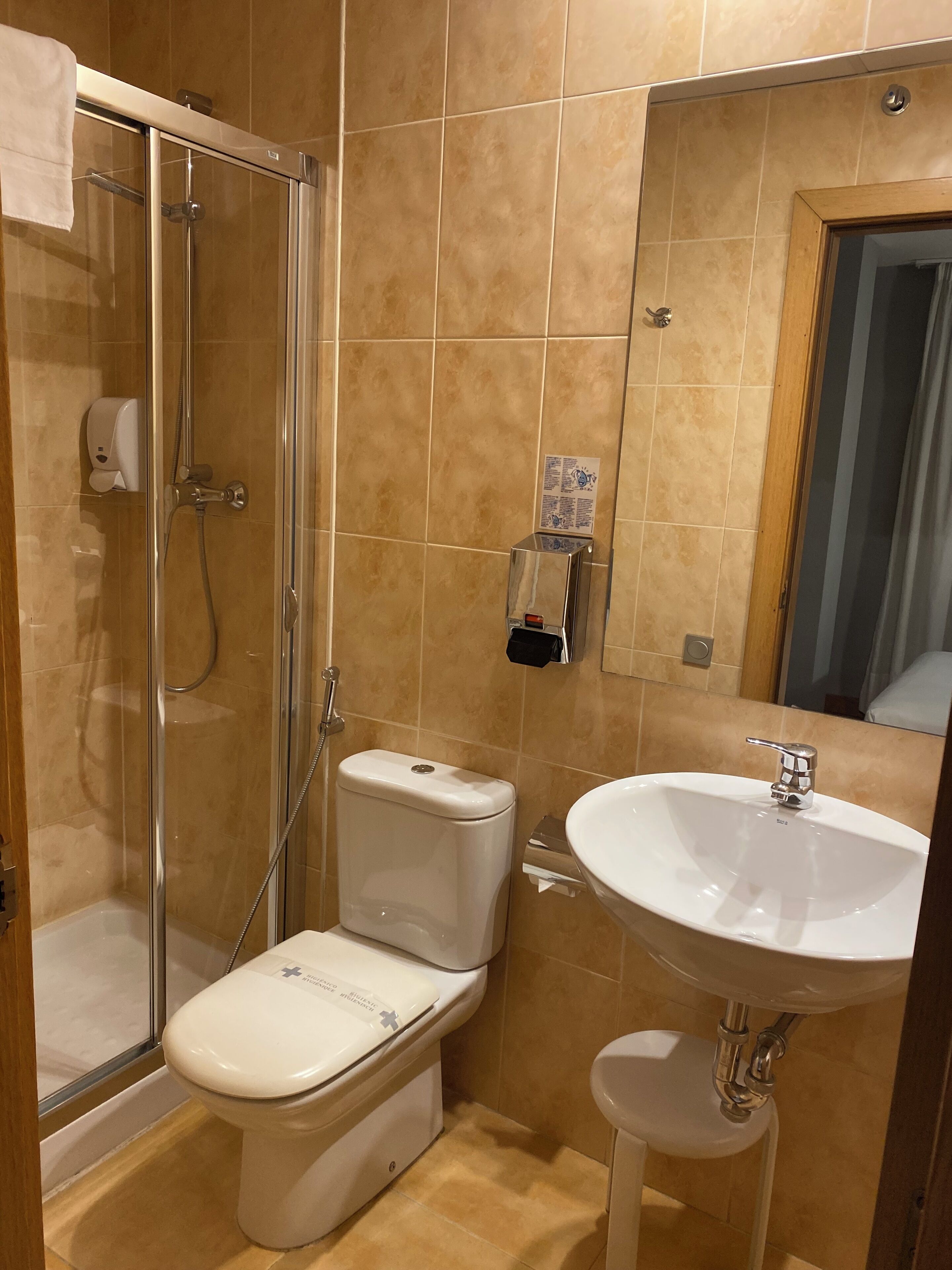 Ein Badezimmer mit einer Duschkabine, einer weißen Toilette und einem Waschbecken mit Spiegel darüber.