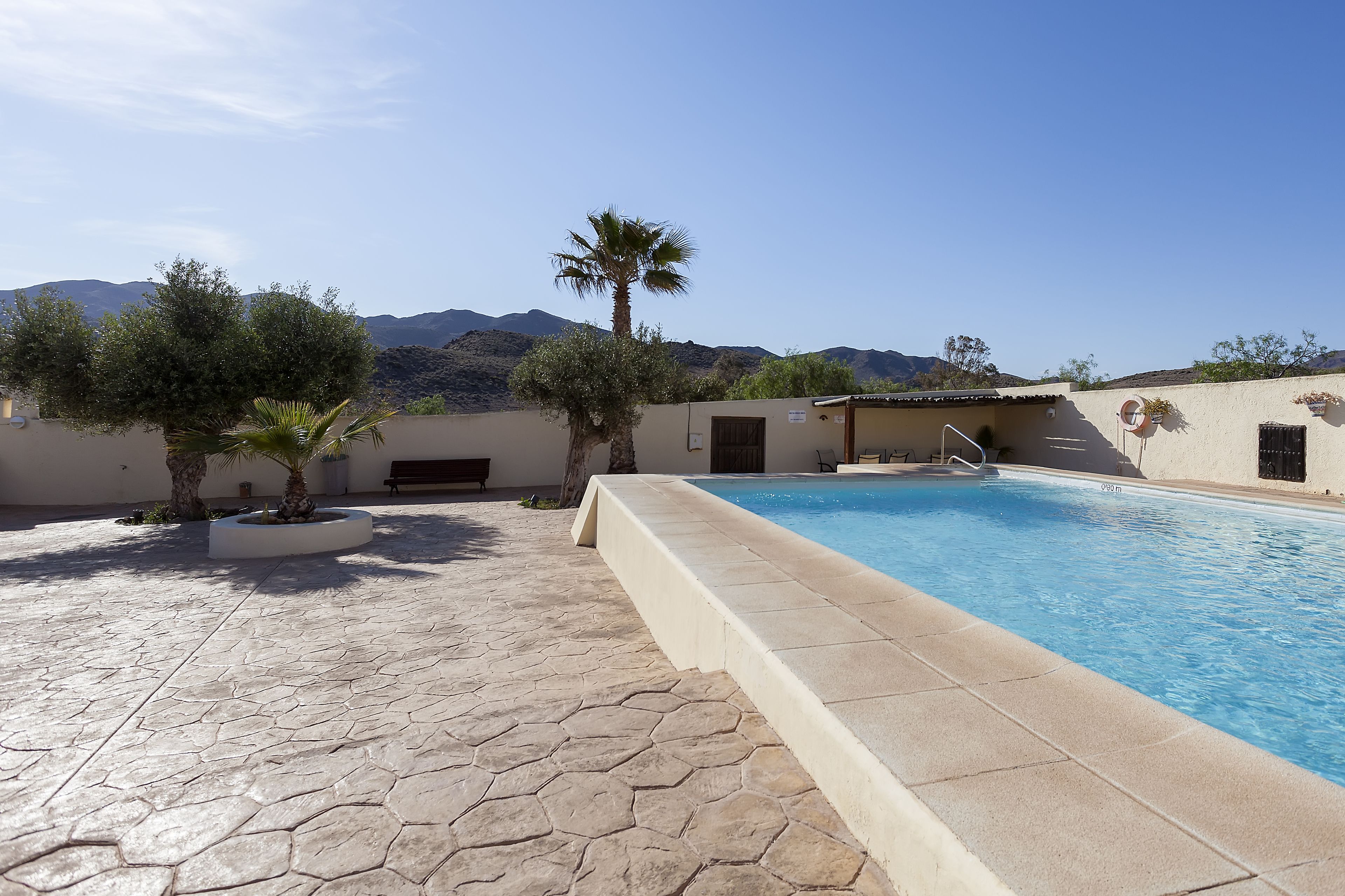 outdoor pool, pool loungers