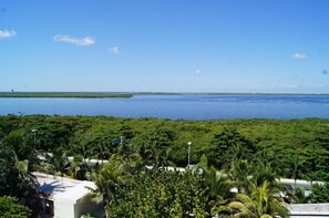 Standard Room (No internet access in room) | View from room