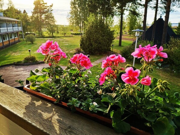 A wooden planter box with pink flowers on a balcony.