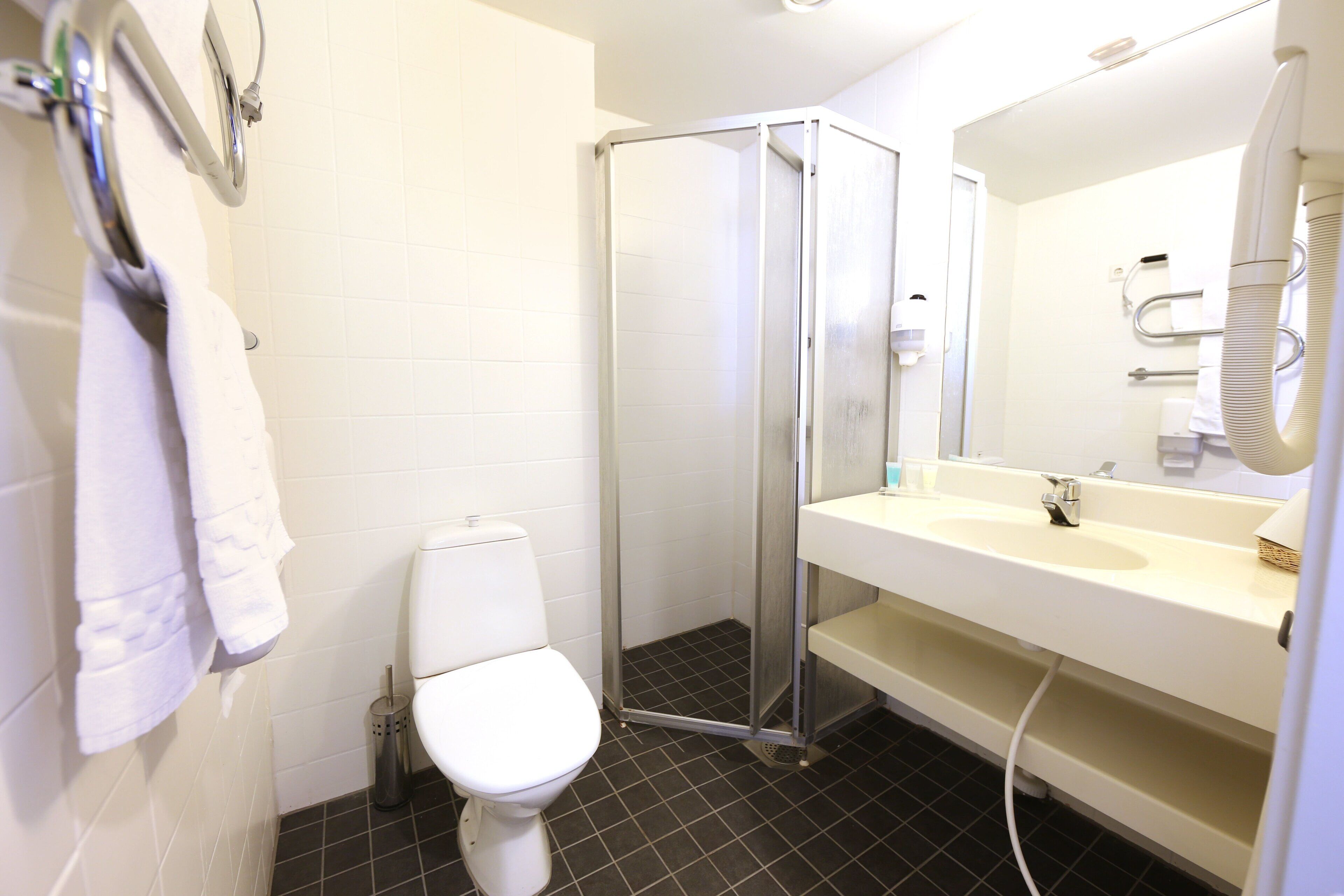 A bathroom with a toilet, a shower enclosure, and a sink with a mirror.
