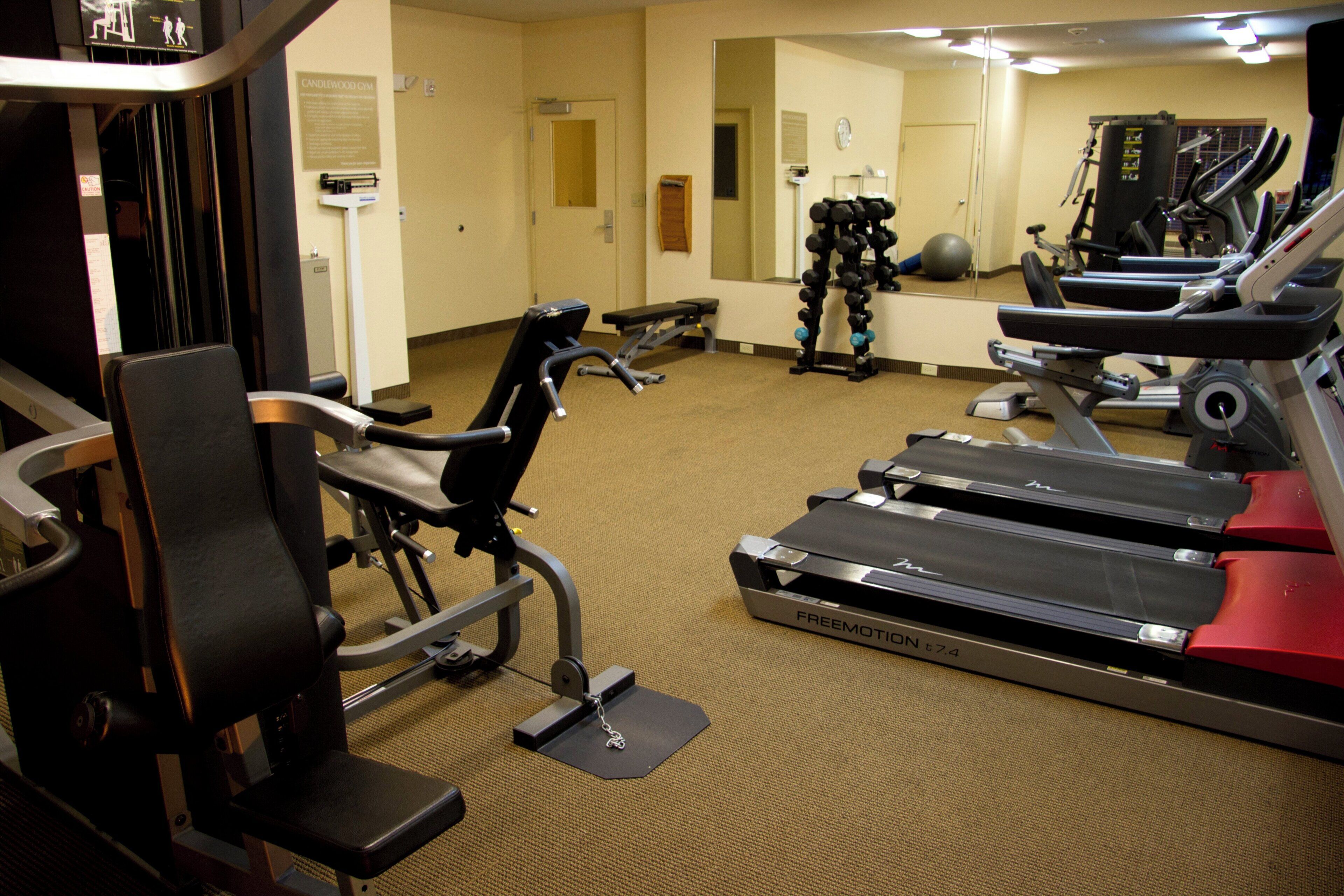 A gym with treadmills, a stationary bike, and a weight bench.
