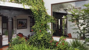 Un edificio blanco con un patio cubierto, un ventanal grande y una pared con plantas trepadoras.