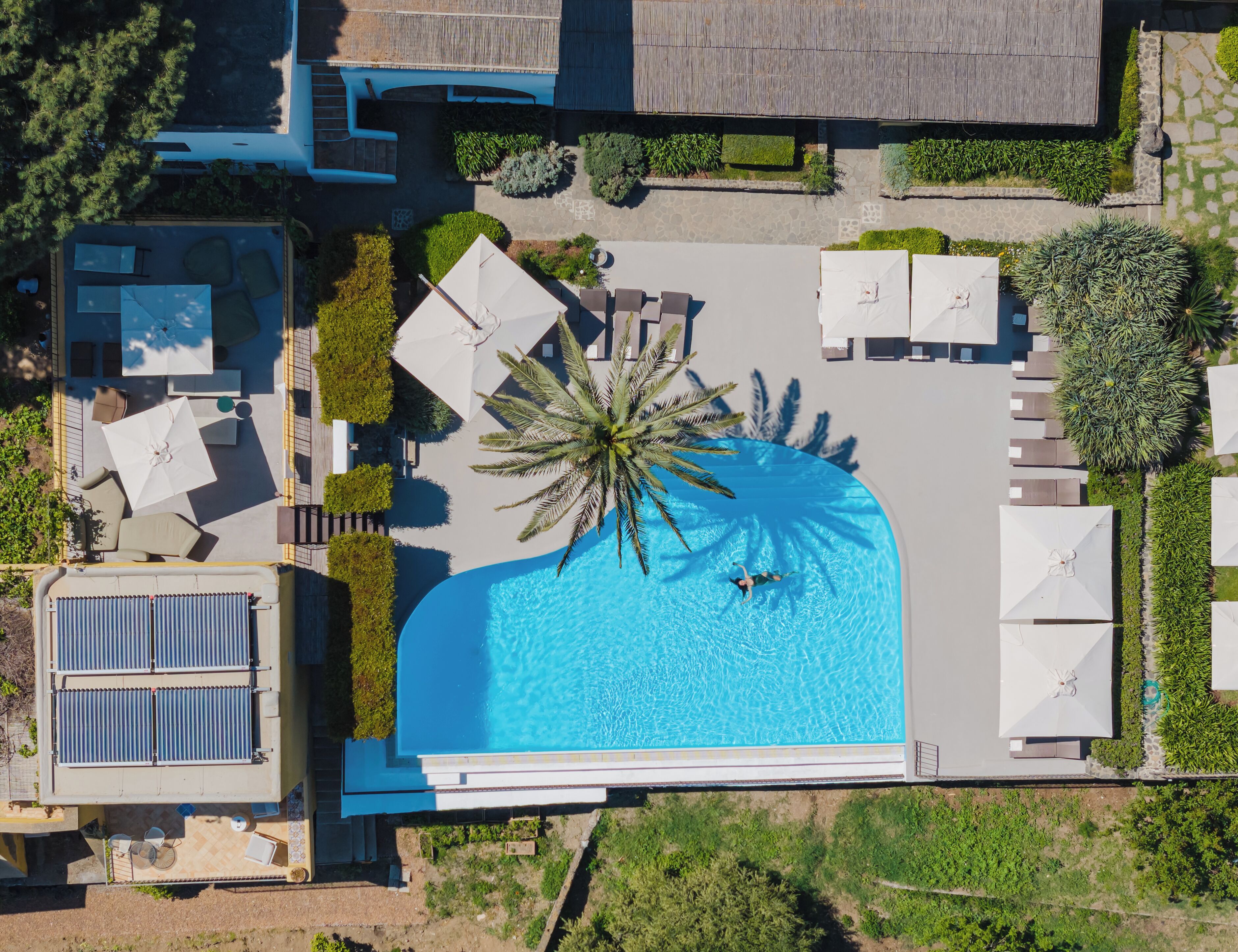 An aerial view of a resort with a swimming pool, sun loungers, and a palm tree.