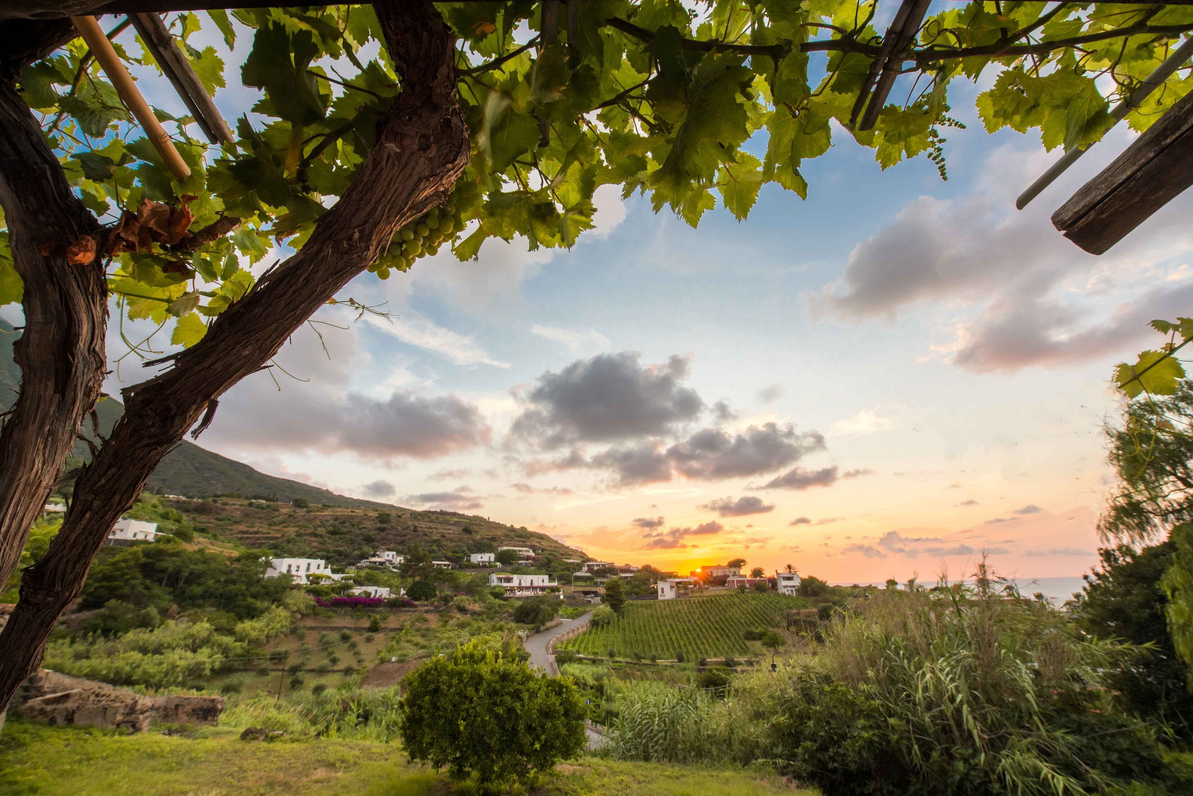 comfort condo (dependance 5 minutes walk from hotel) | view from room