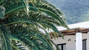Un edificio de fachada blanca, una palmera y un banco.