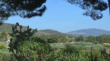 Un paisaje con un cactus en primer plano, una colina con árboles y una vista distante de un pueblo.