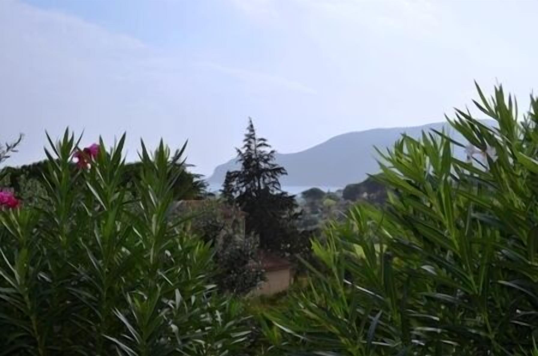Un paysage côtier, avec de la végétation et une montagne en arrière-plan.