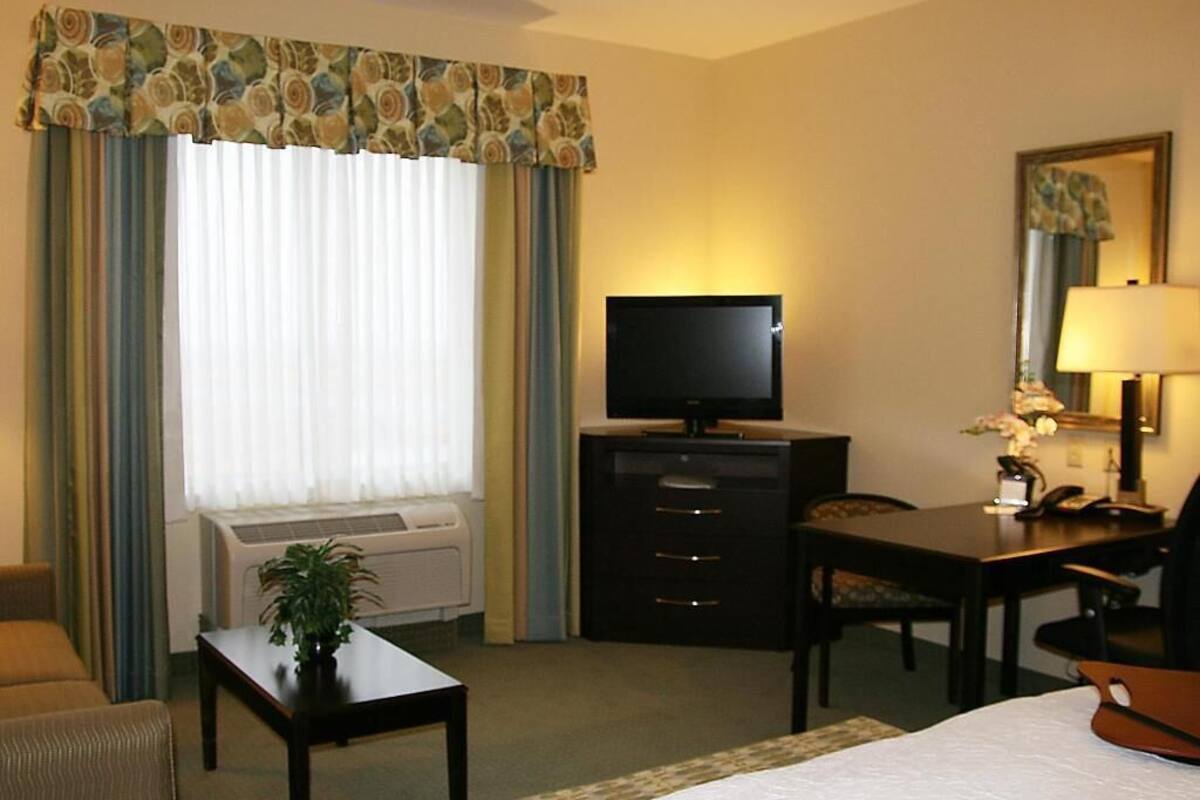 A hotel room with a bed, a desk with a lamp, a television, a chair, and a potted plant.