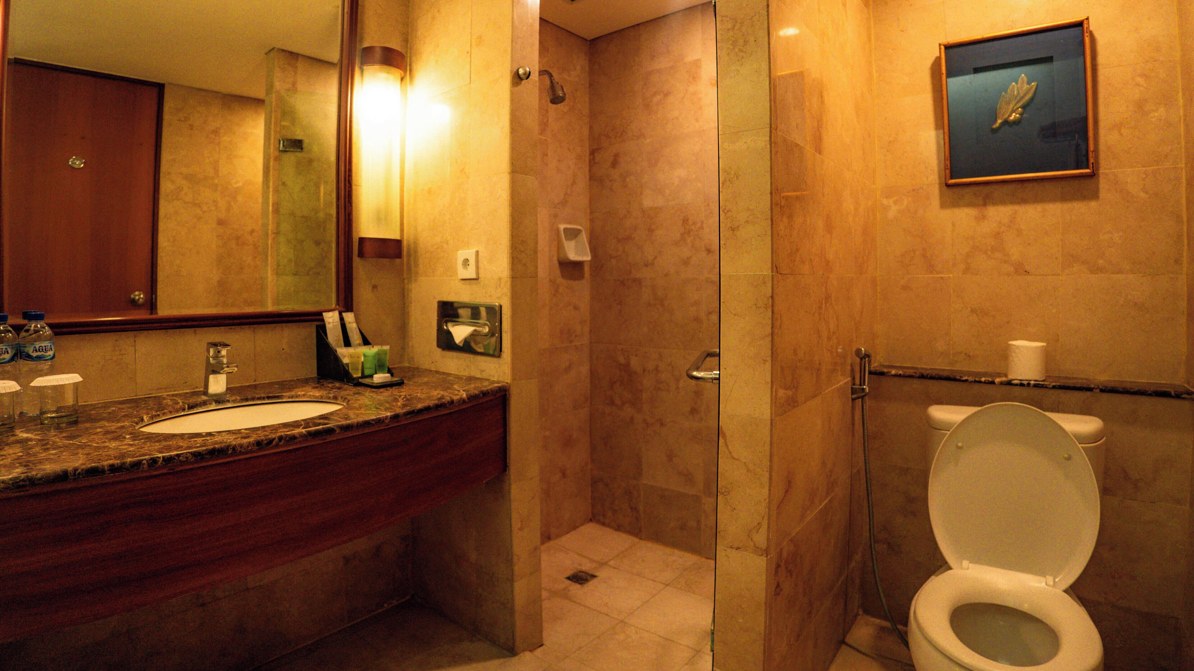 Deluxe Room | Bathroom shower