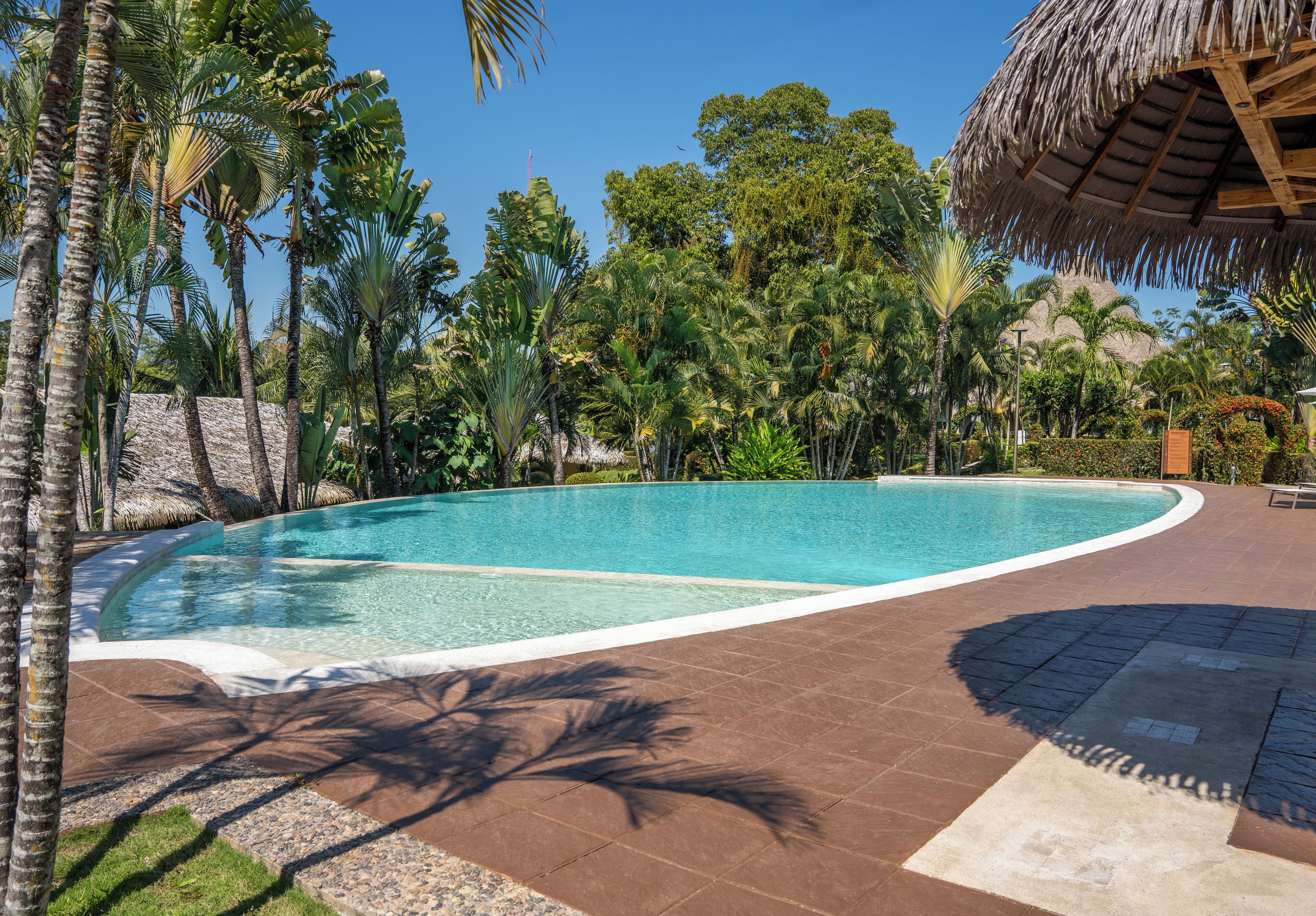 A swimming pool with a curved edge, surrounded by palm trees and a thatched-roof structure.
