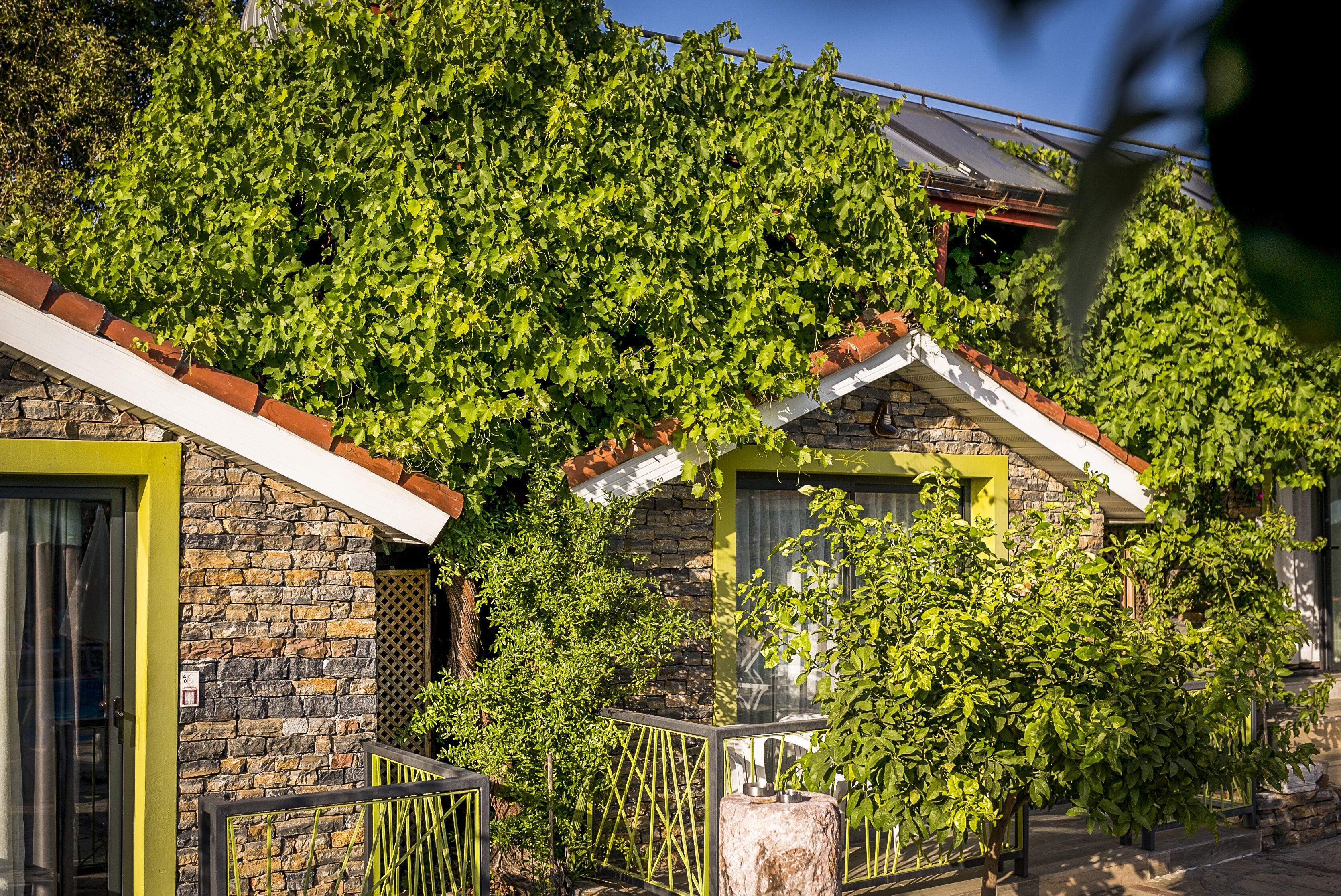 Foto - Leda Beach Hotel