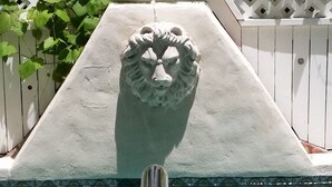 A pool with a lion head sculpture in the center. - Artist House Key West (Key West)