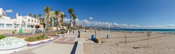 A beachside promenade with a tiled walkway, palm trees, and a view of the beach and ocean.