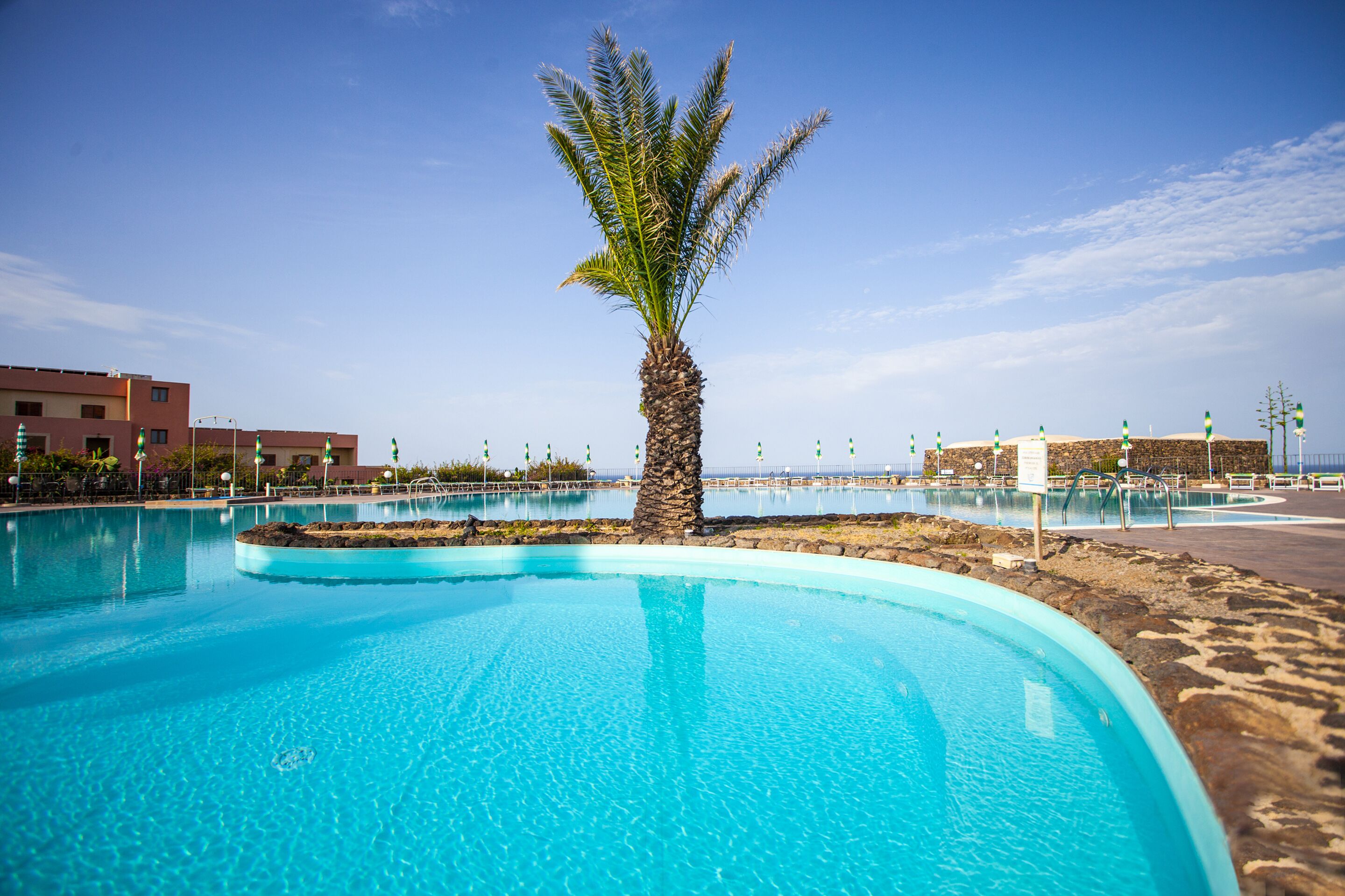 Ein Swimmingpool mit einer zentral platzierten Palme, umgeben von Gebäuden.